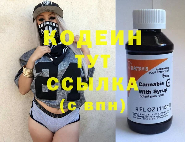 индика Нягань