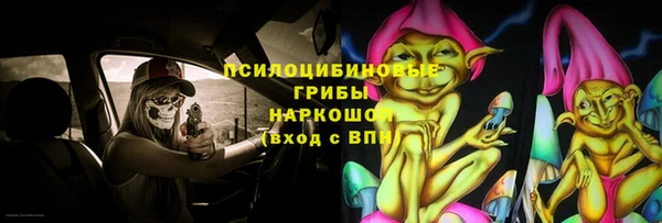 СК Алексин