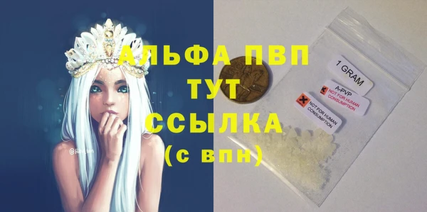 СК Алексин