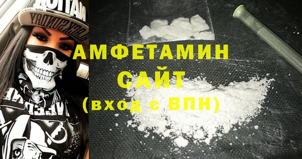 СК Алексин