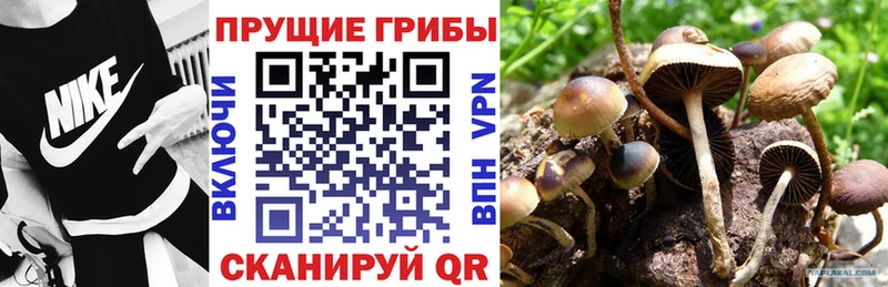 как найти закладки  Похвистнево  Галлюциногенные грибы мухоморы 